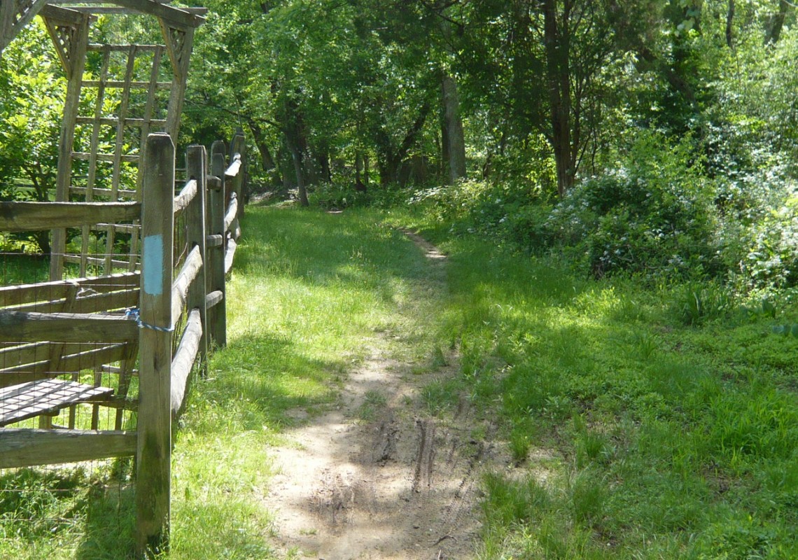 Greenway Trail near Darnestown Rd.