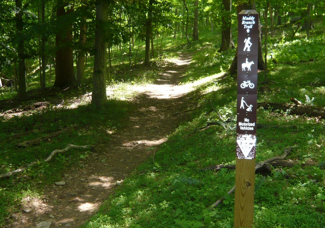 Greenway Trail near Horse Center