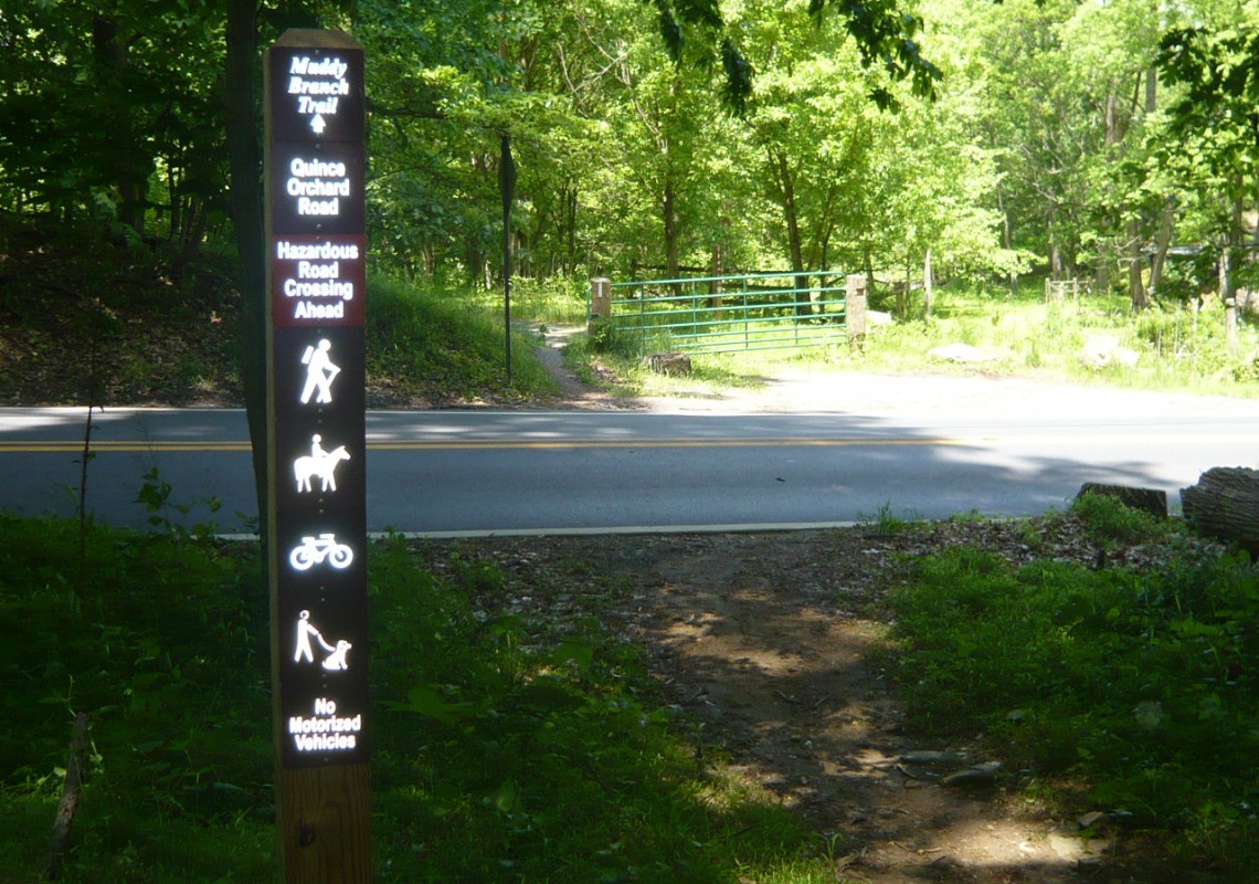 Trail crossing Quince Orchard Rd near Horse Center