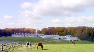 Potomac Horse Center