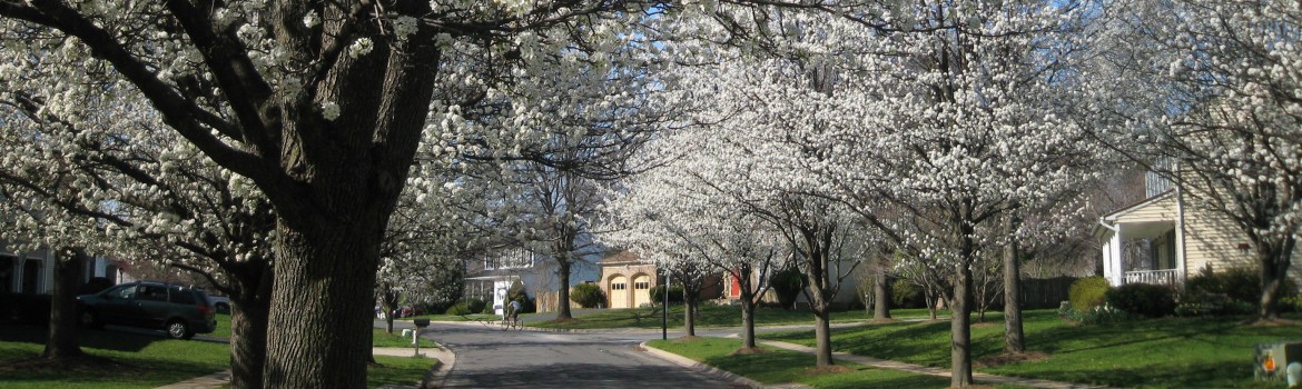 Saddle River Drive