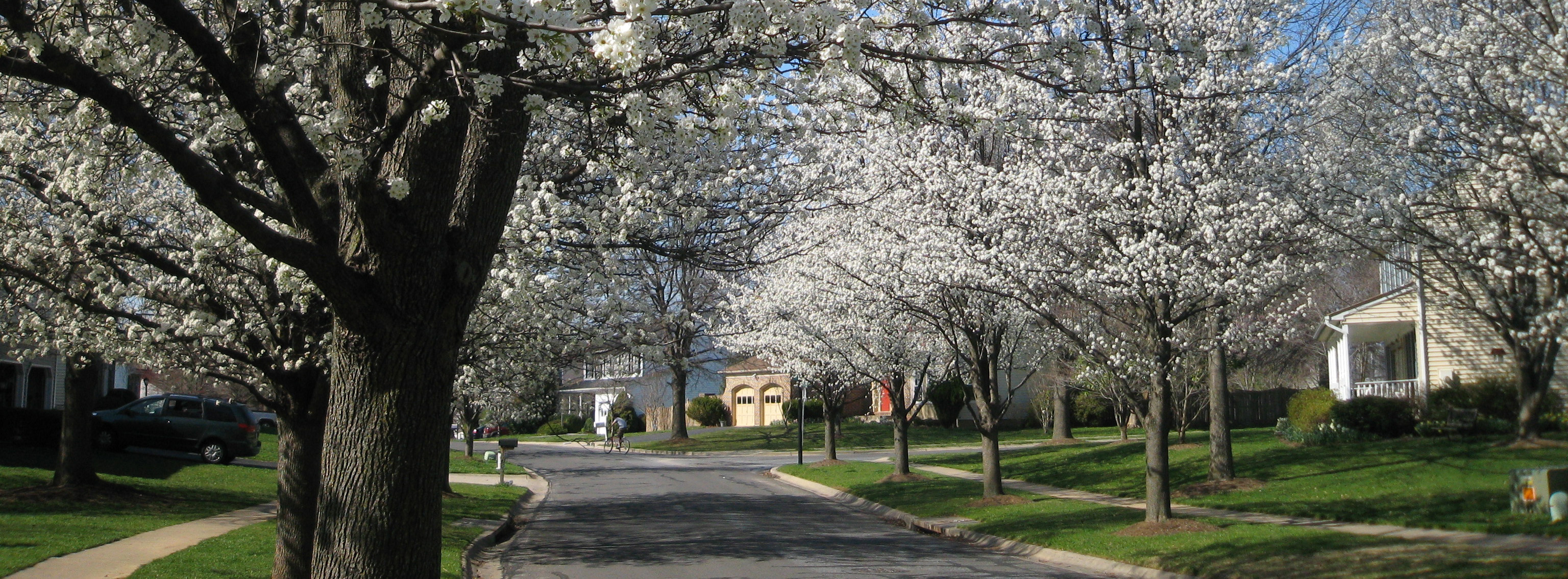 Saddle River Drive